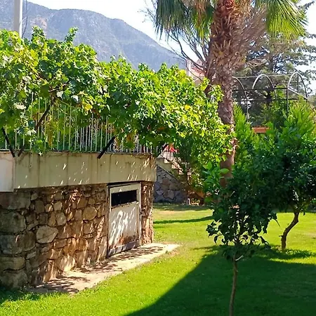 Palm * Fethiye